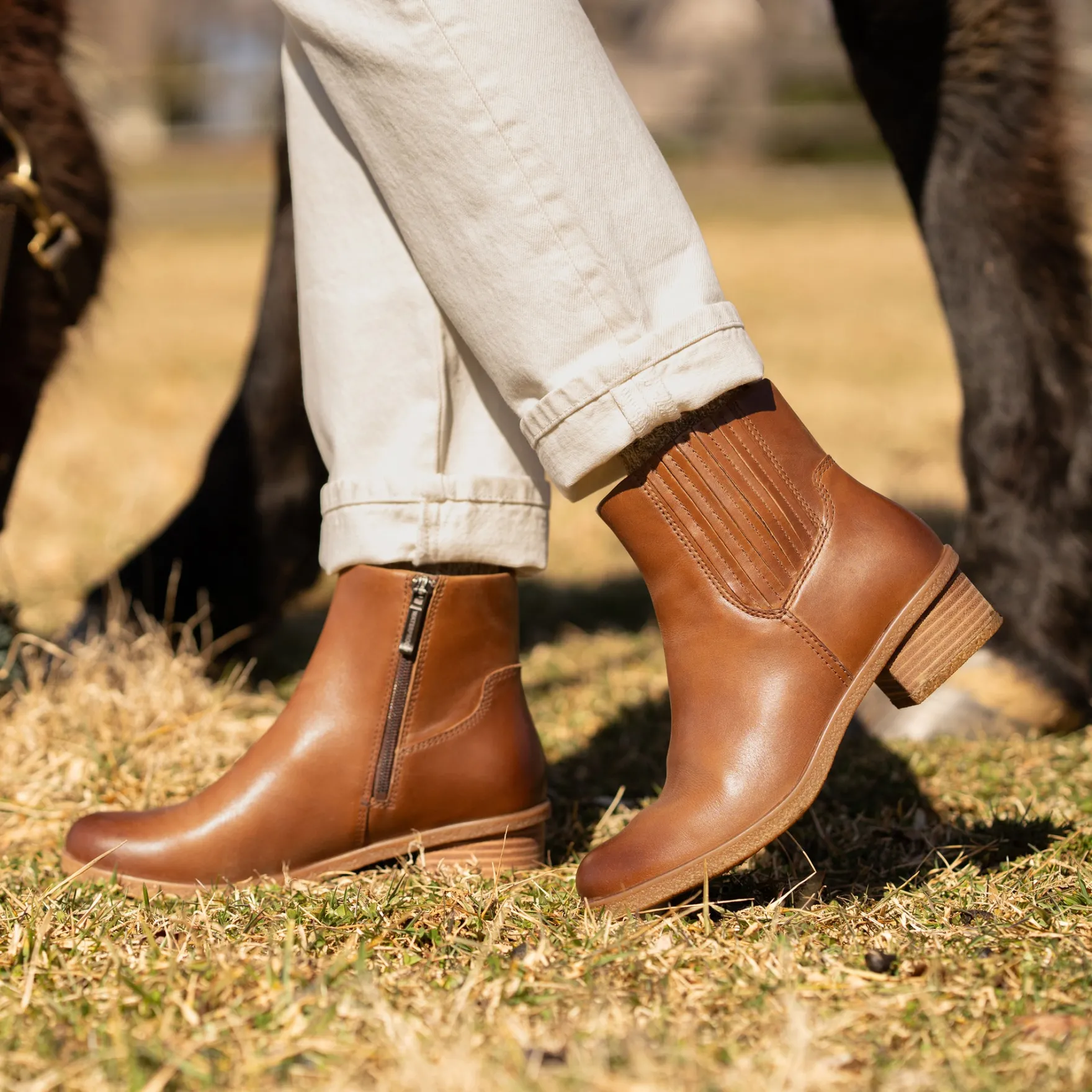 Dansko Daisie>Women Heels|Boots & Booties